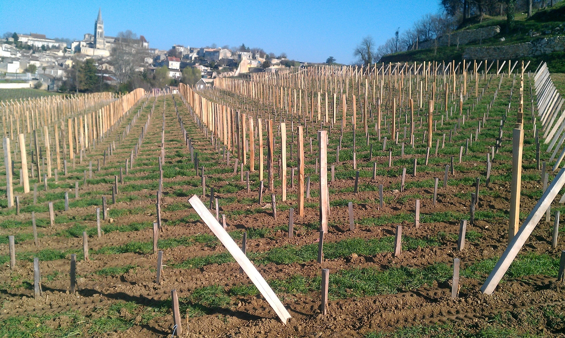 Travaux de vigne mécaniques Travaux de vigne mécaniques