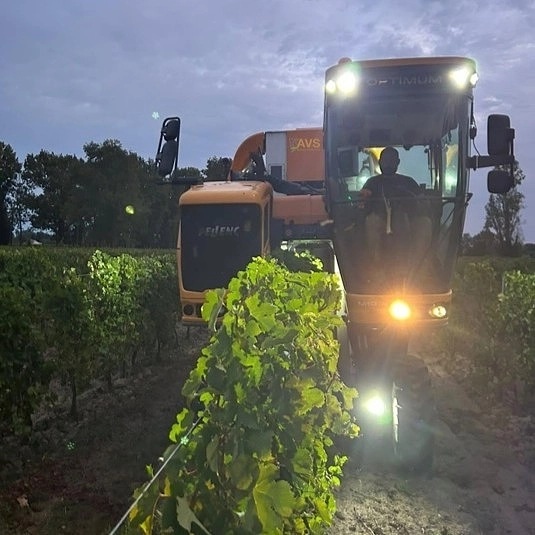 Fin des vendanges 2026